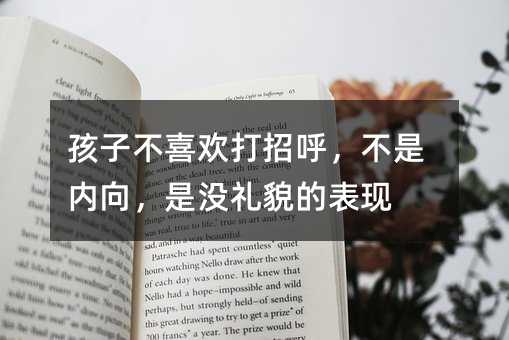 孩子不喜歡打招呼,不是內(nèi)向,是沒禮貌的表現(xiàn)
