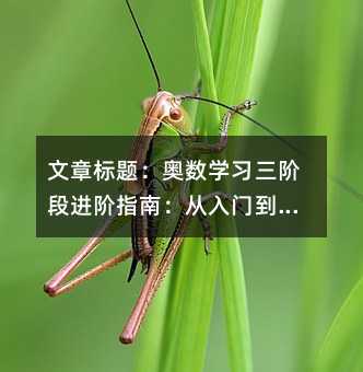 文章標題:奧數學習三階段進階指南:從入門到精通的系統化路徑