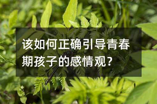 該如何正確引導(dǎo)青春期孩子的感情觀?