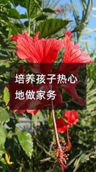 培養孩子熱心地做家務