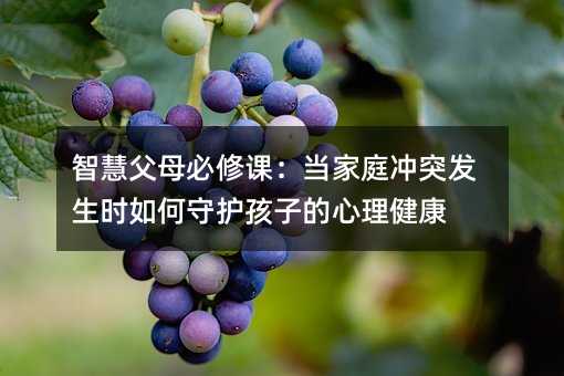 智慧父母必修課:當(dāng)家庭沖突發(fā)生時(shí)如何守護(hù)孩子的心理健康