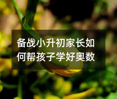 備戰(zhàn)小升初家長如何幫孩子學(xué)好奧數(shù)