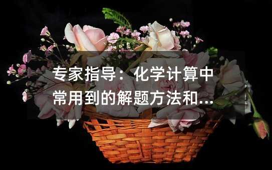 專家指導:化學計算中常用到的解題方法和技巧