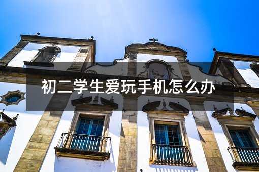 初二學生愛玩手機怎么辦