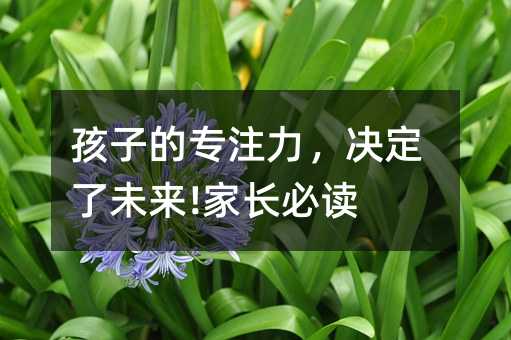 孩子的專(zhuān)注力,決定了未來(lái)!家長(zhǎng)必讀