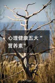 ����������󡰠I�B(y��ng)�ء�