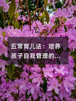 五常育兒法:培養(yǎng)孩子自我管理的趣味實踐手冊