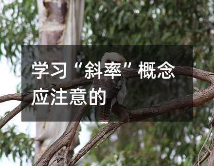 學習“斜率”概念應注意的