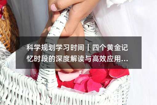 科學規劃學習時間|四個黃金記憶時段的深度解讀與高效應用指南