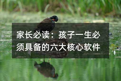 家長必讀:孩子一生必須具備的六大核心軟件