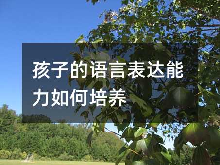 孩子的語言表達能力如何培養