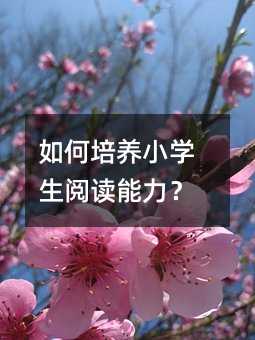 ������BС�W����x������