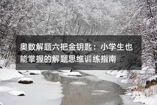 奧數(shù)解題六把金鑰匙:小學(xué)生也能掌握的解題思維訓(xùn)練指南