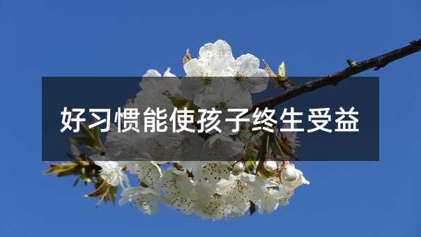 ����(x��)�T��ʹ���ӽK������