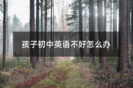 ���ӳ���Ӣ�Z������ô�k