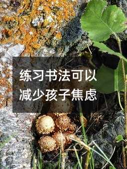 �����������Ԝp�ٺ��ӽ��]