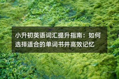 С����Ӣ�Z�~�R����ָ�ϣ�����x���m�ϵĆ��~������Чӛ��