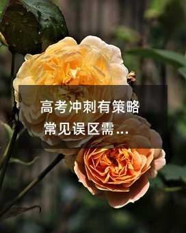 高考沖刺有策略 常見誤區需謹慎