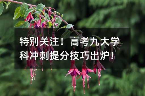 特別關注!高考九大學科沖刺提分技巧出爐!