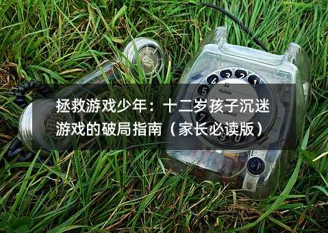拯救游戲少年:十二歲孩子沉迷游戲的破局指南(家長必讀版)