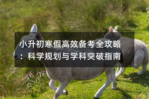 小升初寒假高效備考全攻略:科學規劃與學科突破指南