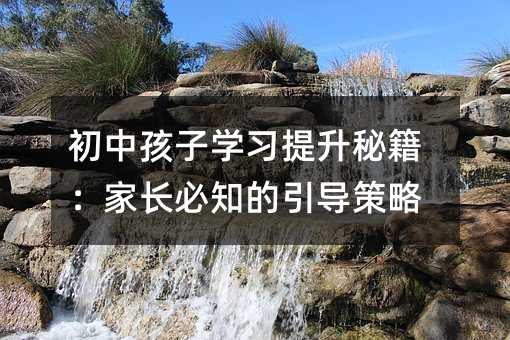 初中孩子學習提升秘籍:家長必知的引導策略