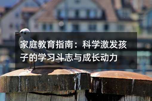家庭教育指南:科學激發孩子的學習斗志與成長動力