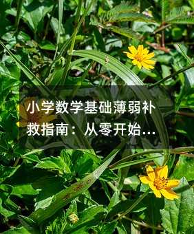 小學(xué)數(shù)學(xué)基礎(chǔ)薄弱補救指南:從零開始,重塑數(shù)學(xué)思維