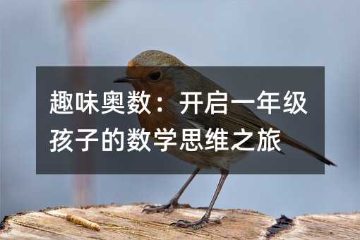 趣味奧數(shù):開啟一年級孩子的數(shù)學(xué)思維之旅