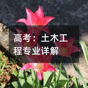 高考:土木工程專業詳解