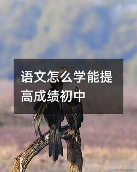語文怎么學能提高成績初中