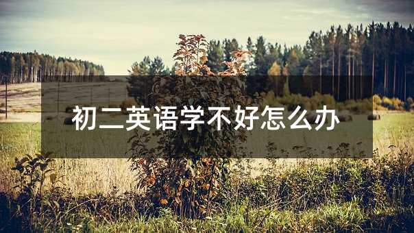 初二英語學不好怎么辦
