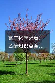 高三化學必看!乙醇知識點全解析:從生活應用到考試技巧一網打盡