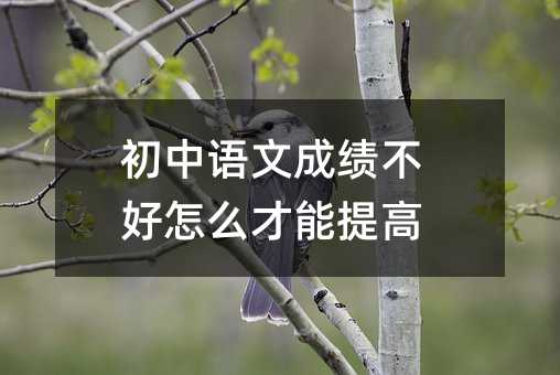 初中語(yǔ)文成績(jī)不好怎么才能提高