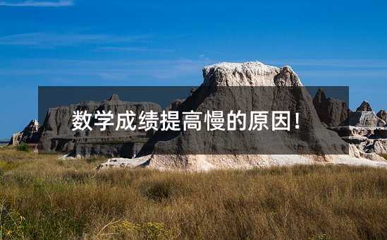 數(shù)學(xué)成績提高慢的原因!