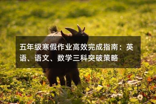 五年級寒假作業(yè)高效完成指南:英語、語文、數(shù)學三科突破策略