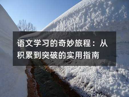 語文學(xué)習(xí)的奇妙旅程:從積累到突破的實用指南