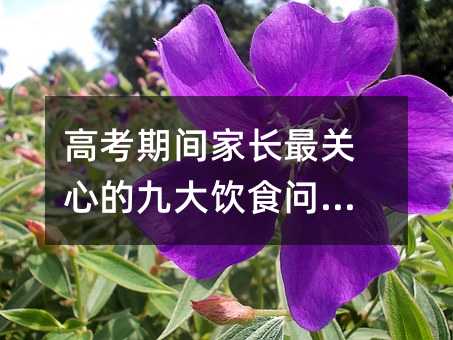 高考期間家長最關心的九大飲食問題!