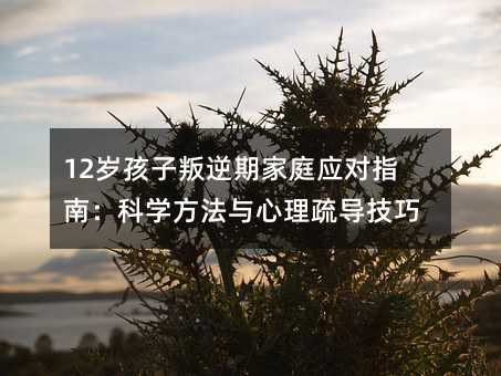 12歲孩子叛逆期家庭應對指南:科學方法與心理疏導技巧