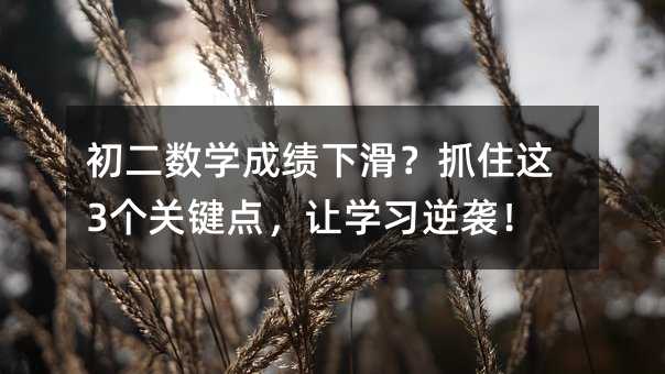 初二數(shù)學(xué)成績(jī)下滑?抓住這3個(gè)關(guān)鍵點(diǎn),讓學(xué)習(xí)逆襲!