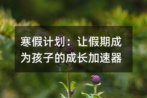 寒假計(jì)劃:讓假期成為孩子的成長(zhǎng)加速器