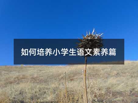 B(yng)СW(xu)Z(y)B(yng)ƪ