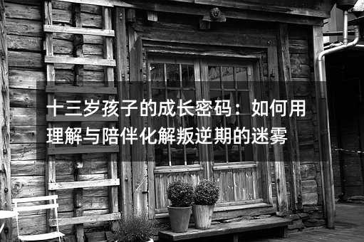 十三歲孩子的成長密碼:如何用理解與陪伴化解叛逆期的迷霧