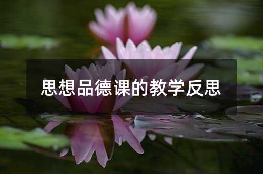 思想品德課的教學反思
