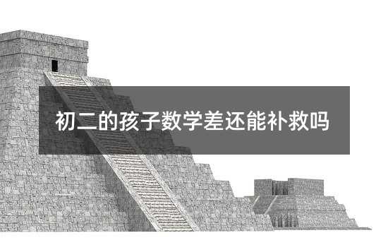 初二的孩子數(shù)學(xué)差還能補(bǔ)救嗎