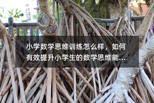 С�W���W˼�SӖ����ô�ӣ������Ч����С�W���Ĕ��W˼�S������