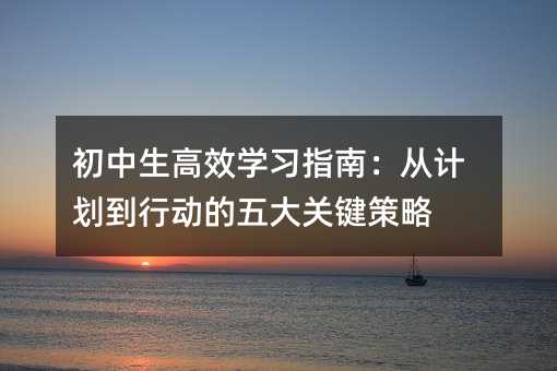 初中生高效學習指南:從計劃到行動的五大關鍵策略