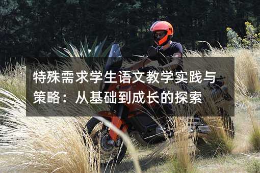 特殊需求學生語文教學實踐與策略:從基礎到成長的探索