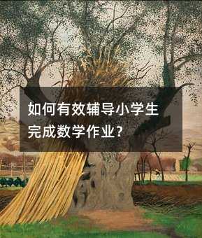如何有效輔導小學生完成數(shù)學作業(yè)?