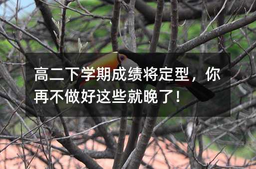 高二下學(xué)期成績(jī)將定型,你再不做好這些就晚了!